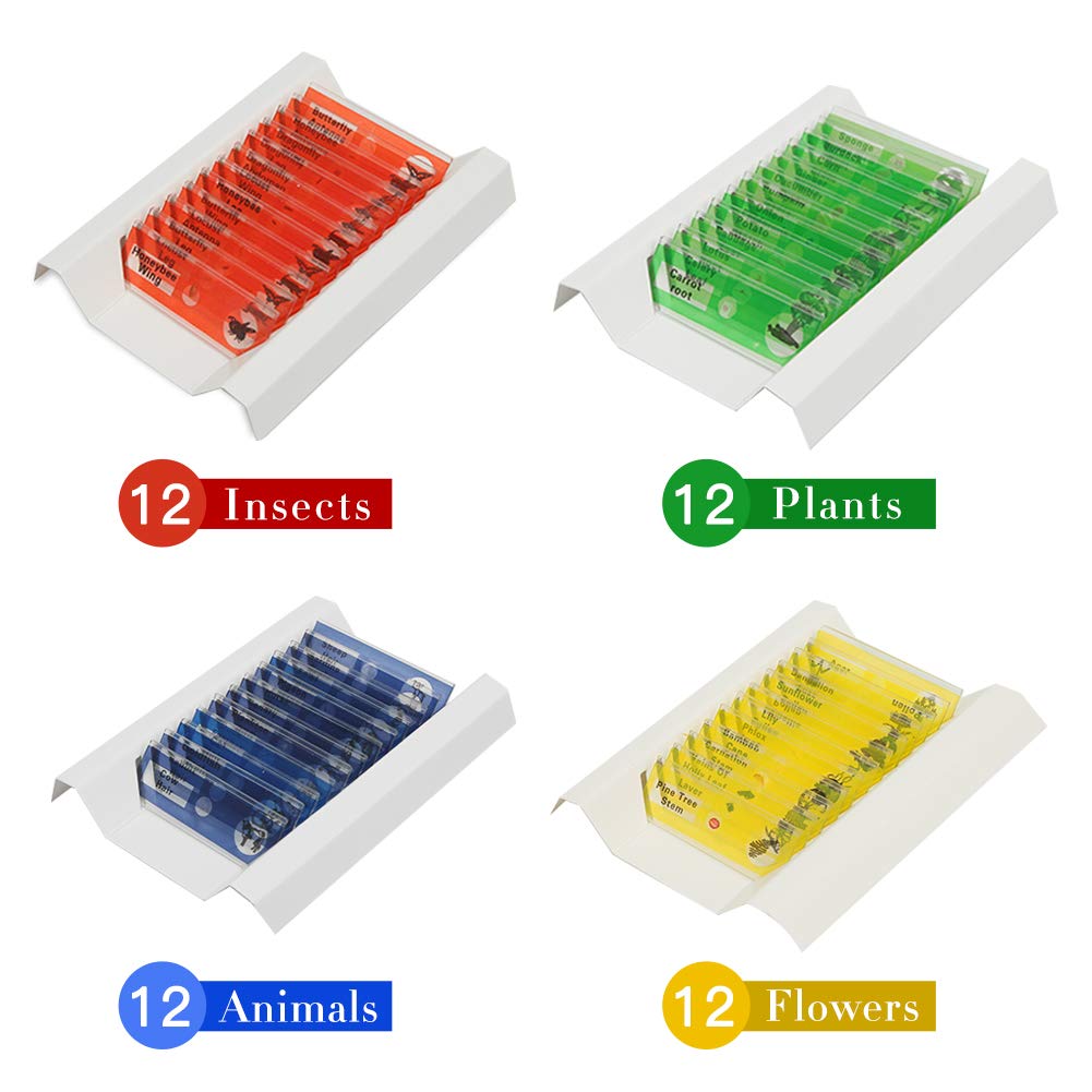 Digislides - Microscope Slide Set (48 pcs)