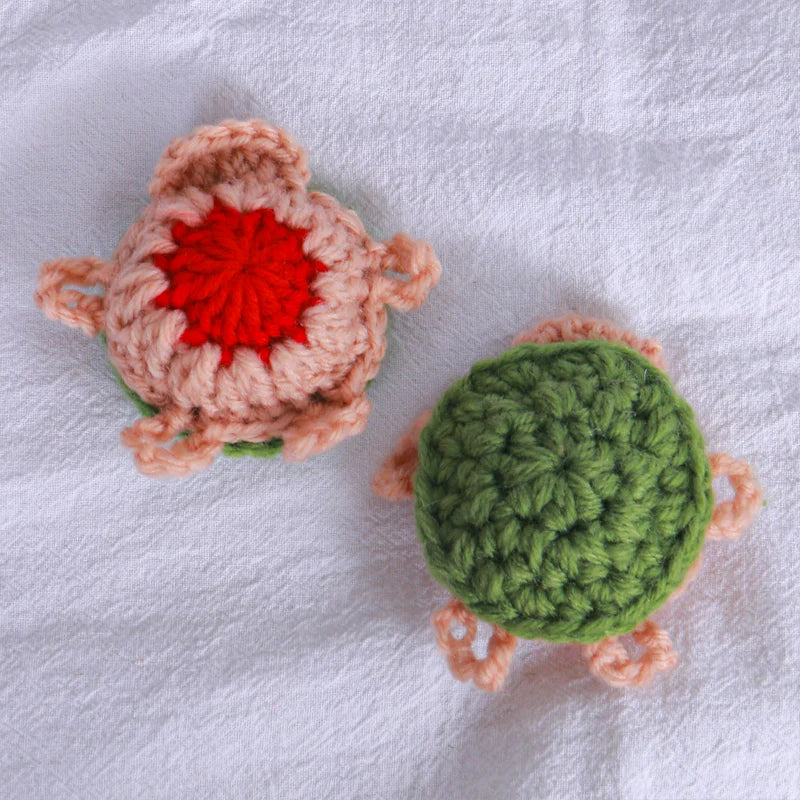 Turtle Memory Match Game