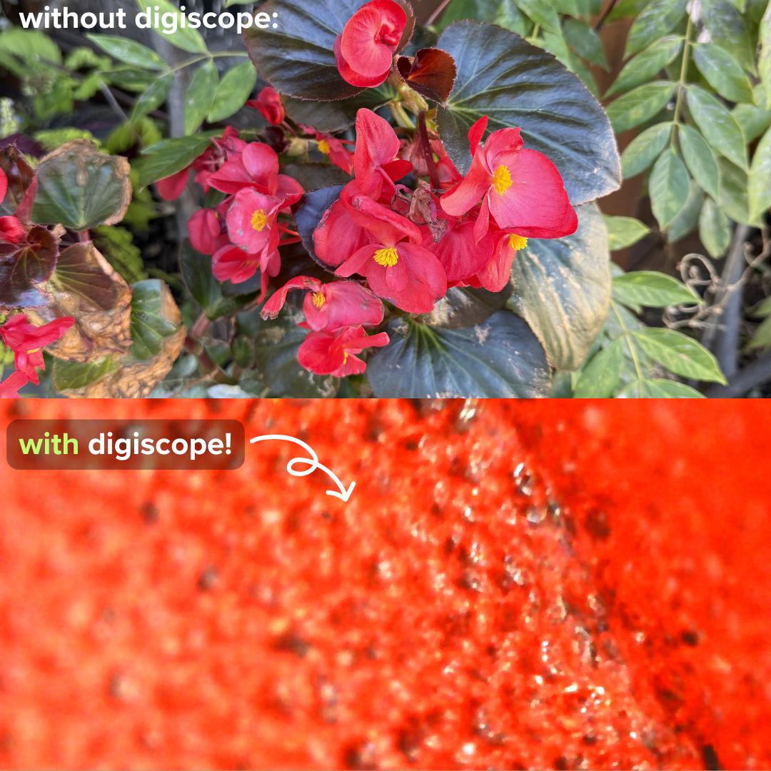 Miniscope - digital microscope