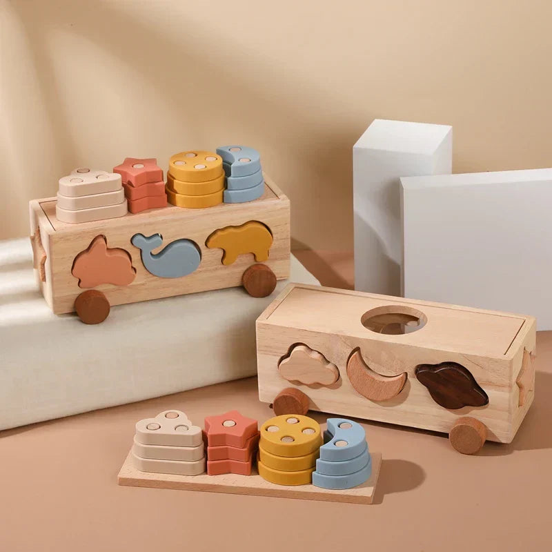 Shape & Color Sorting Adventure