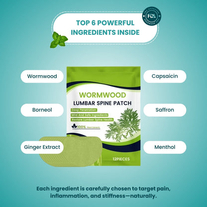 Natural Back Pain Patches Al Aras Lab