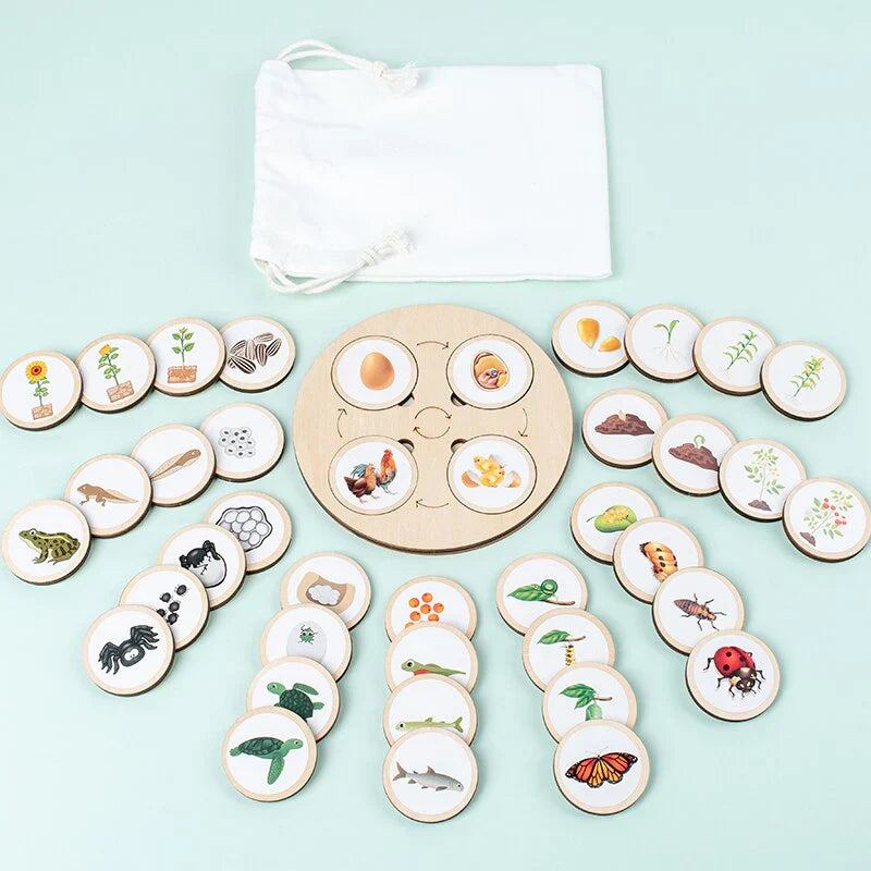 LifeSteps – Discover Life Cycles – Wooden Puzzle Set