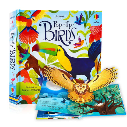 Interactive Pop-Up Adventure Book