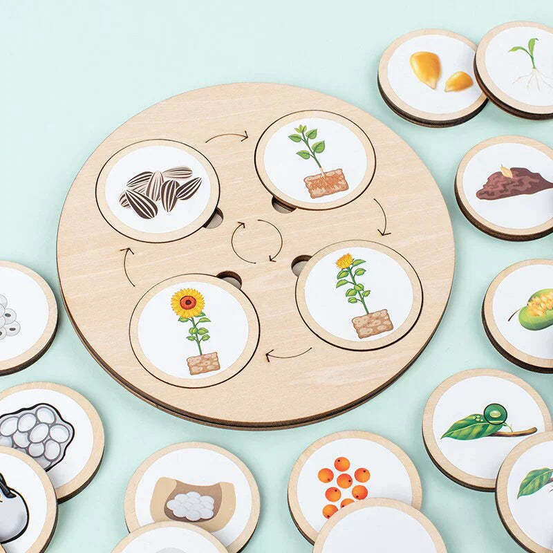 LifeSteps – Discover Life Cycles – Wooden Puzzle Set
