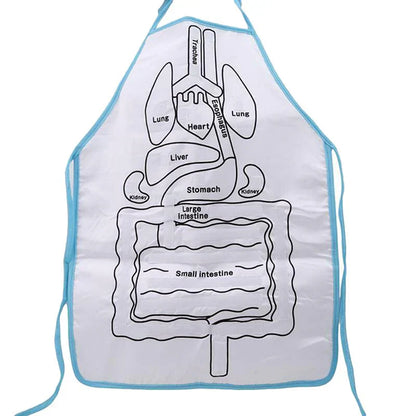 Apron – Learn About the Human Body Through Play