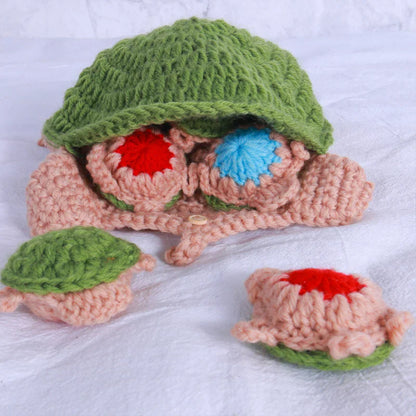 Turtle Memory Match Game
