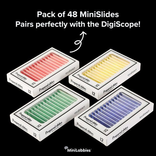 Digislides - Microscope Slide Set (48 pcs)