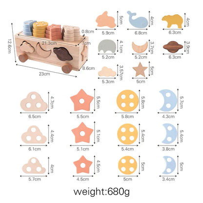 Shape & Color Sorting Adventure