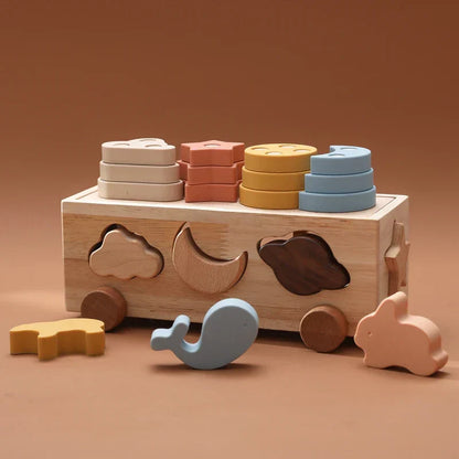 Shape & Color Sorting Adventure