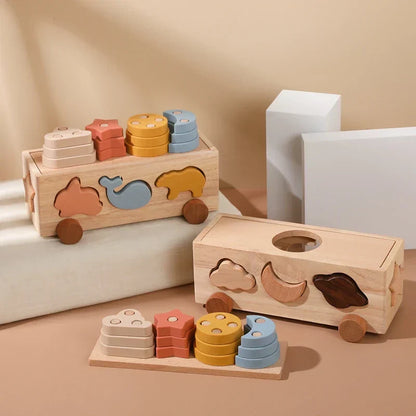 Shape & Color Sorting Adventure