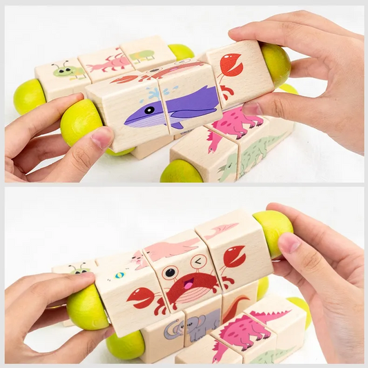 Spin & Learn Puzzle