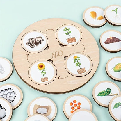 LifeSteps – Discover Life Cycles – Wooden Puzzle Set